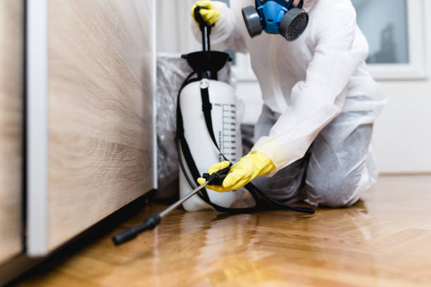 Best Bed Bug Extermination  in Fruit Cove, FL
