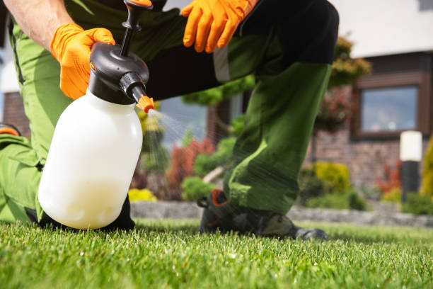 Best Insect Control  in Fruit Cove, FL