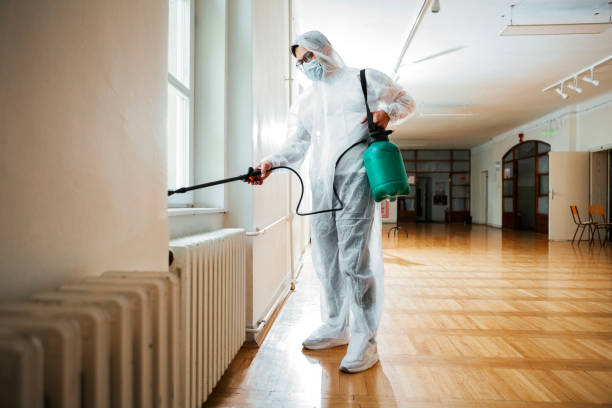 Wasp Removal Services in Fruit Cove, FL