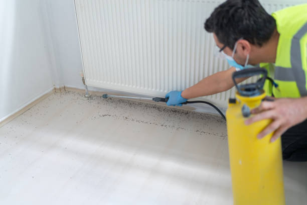 Best Pest Prevention Services  in Fruit Cove, FL